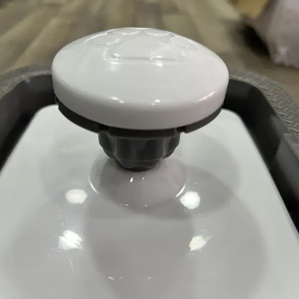 Fuente para Gato