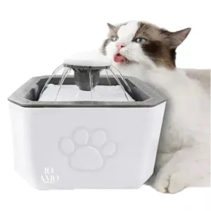 Fuente para Gato